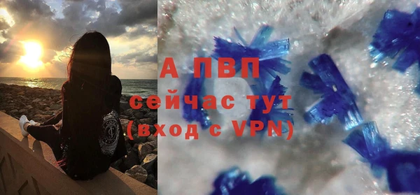 стафф Осташков