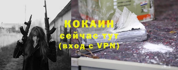 стафф Осташков