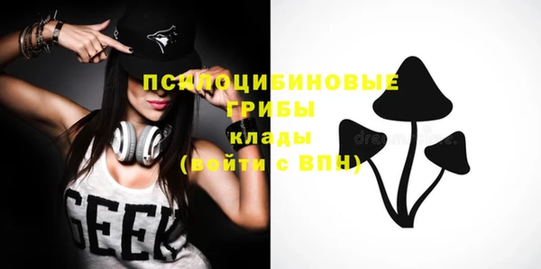 стафф Осташков