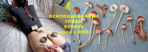 стафф Осташков