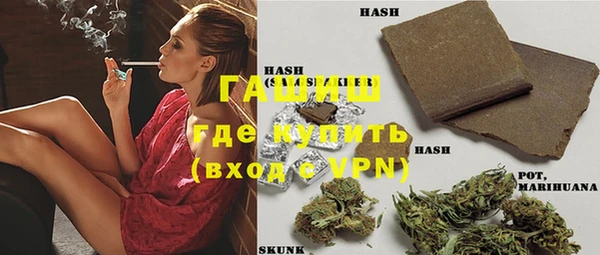 стафф Осташков