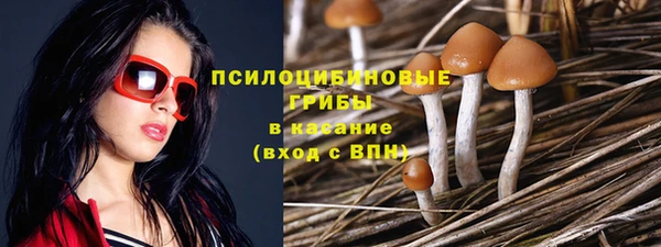 стафф Осташков