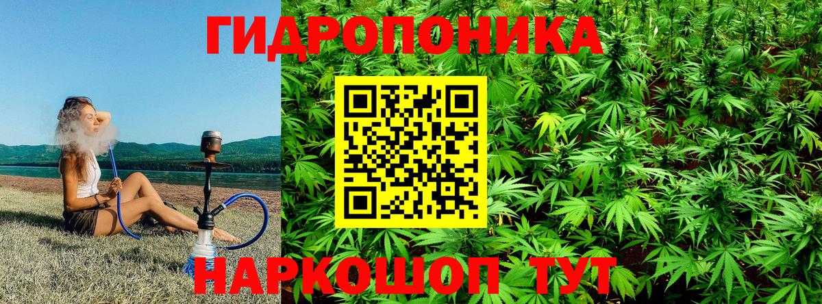 Шишки марихуана THC 21% Сокол
